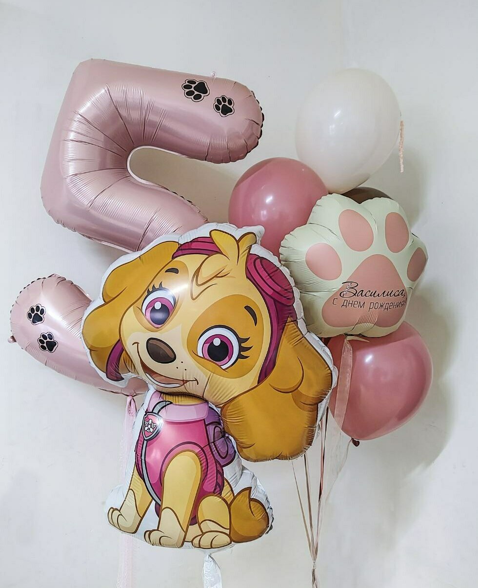 Шарики Щенячий патруль Скай