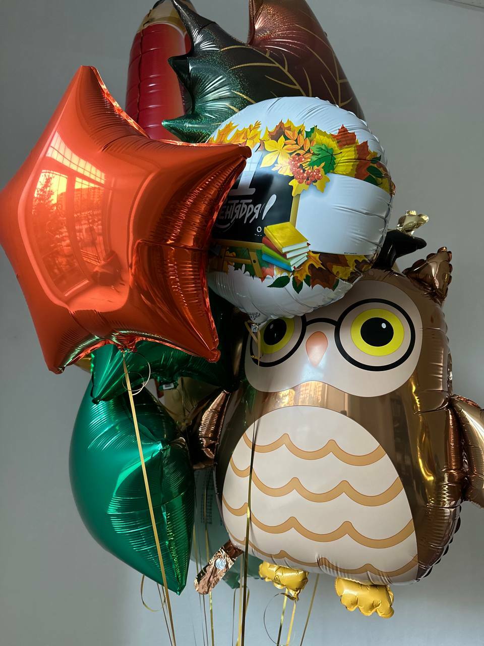 Фонтан из шаров с умной совой Фонтан из шаров с умной совой