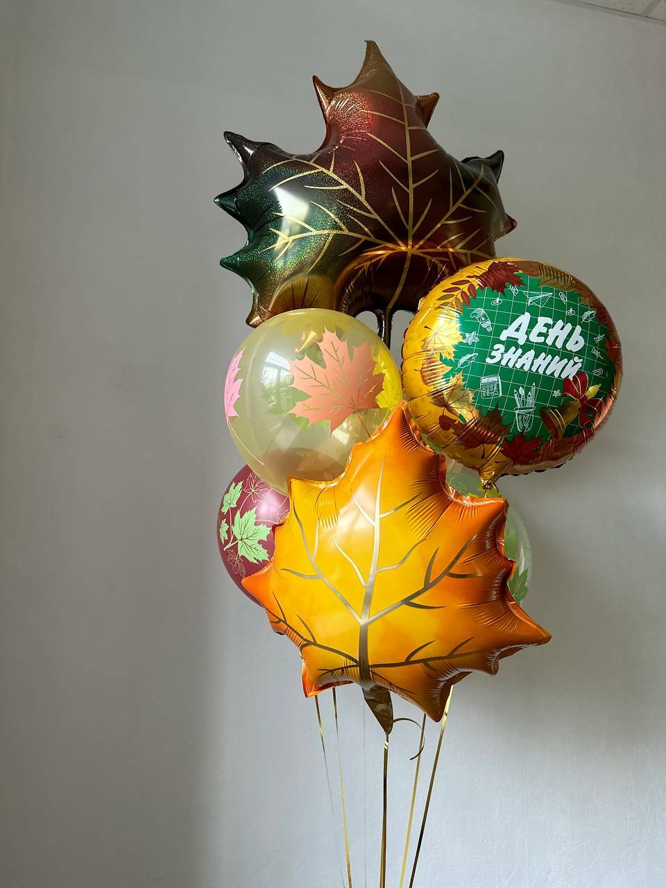 Фонтан из шаров ДЕНЬ ЗНАНИЙ Фонтан из шаров ДЕНЬ ЗНАНИЙ