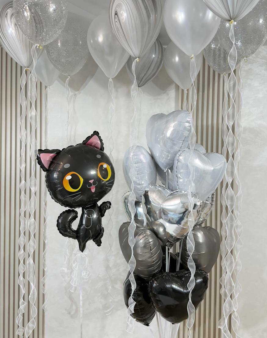 Набор шаров Киска